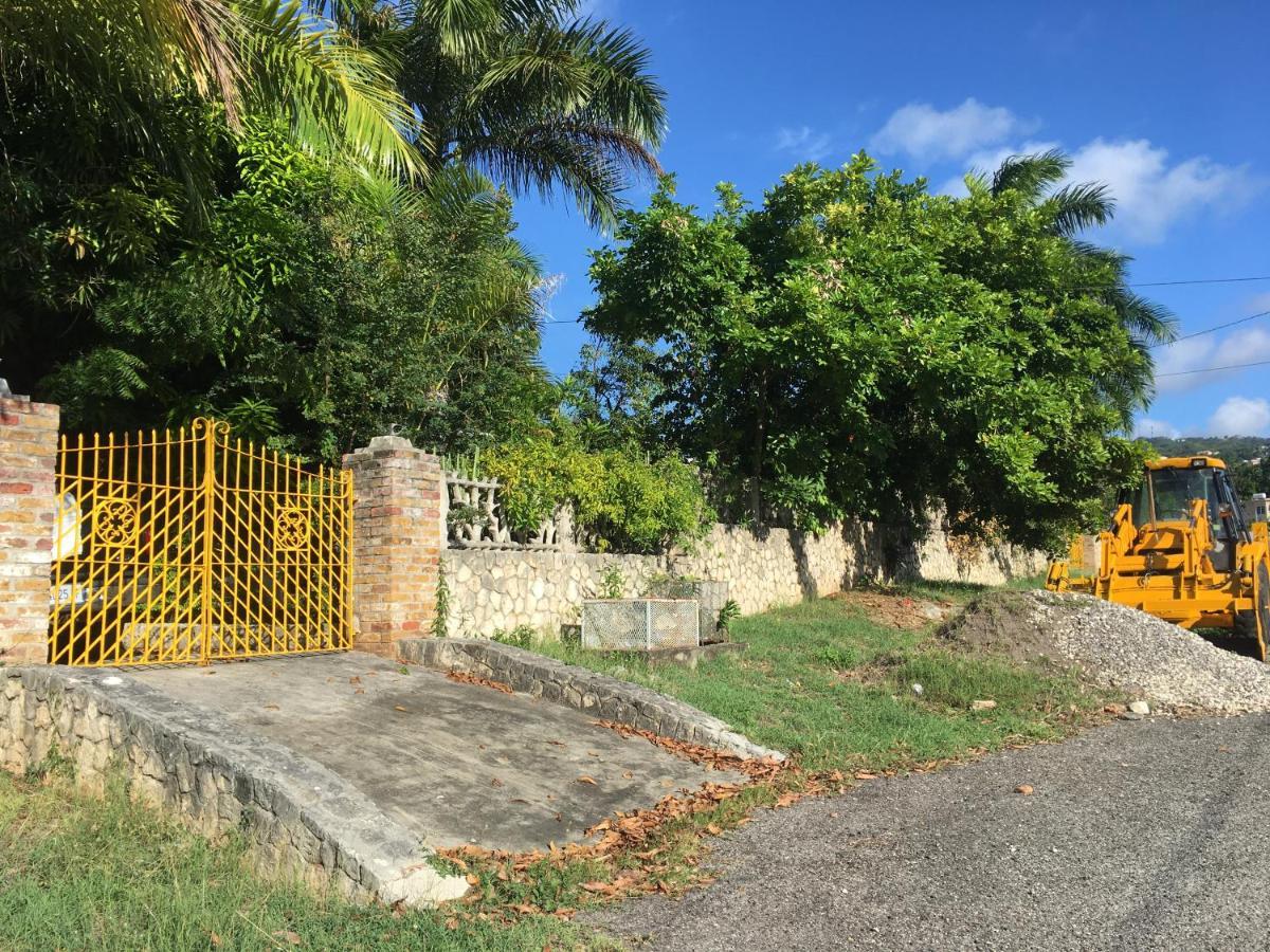 African Symbol Guest House Montego Bay Extérieur photo